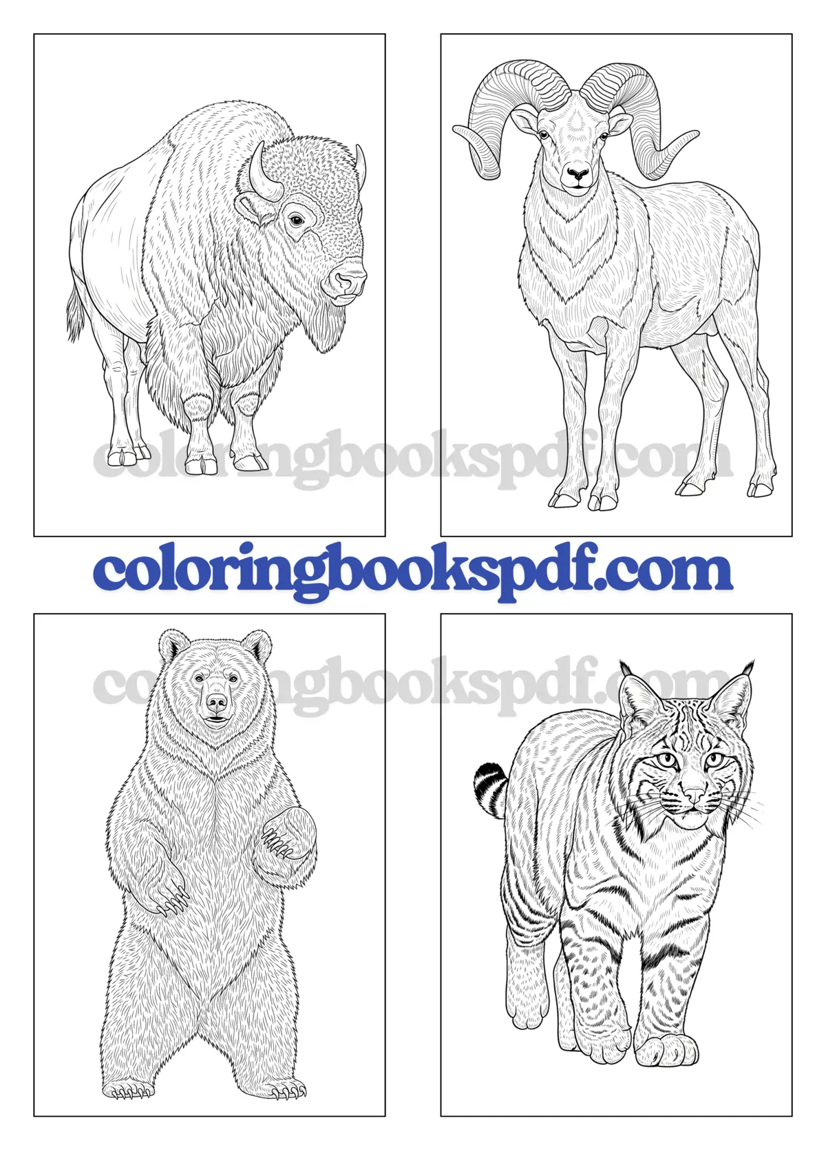 Back cover of American Wild Animals Coloring Book for Kids ages 5–12 with colorful wildlife illustrations